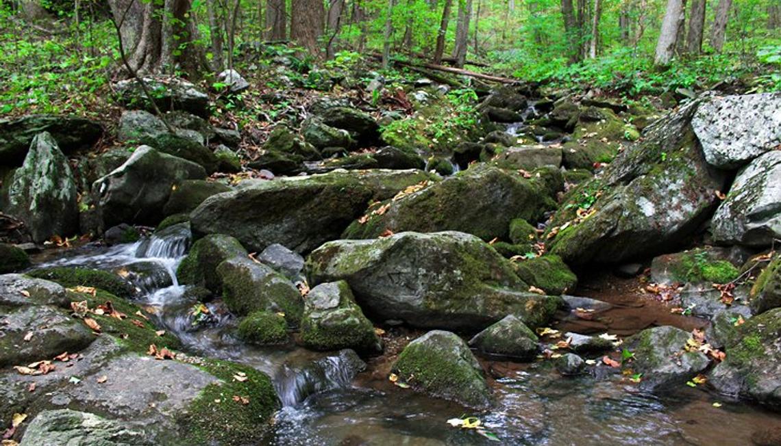 Take a Hike in Shenandoah National Park