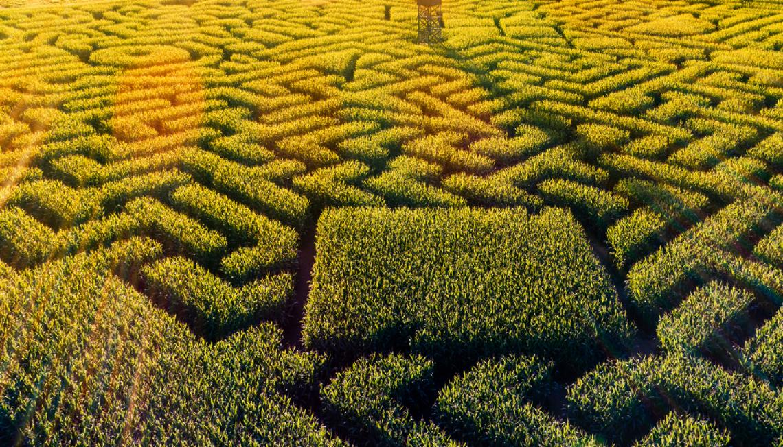 Get Lost in Fun: Top Corn Mazes in Northern Virginia