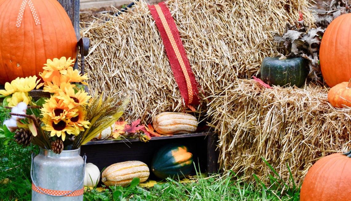 Explore the Best of Loudoun County at the 30th Annual Fall Farm Tour