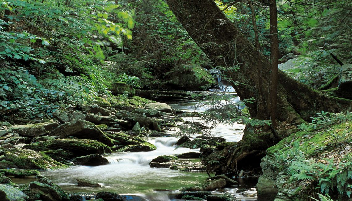 Exploring Loudoun County’s First State Park: Sweet Run State Park