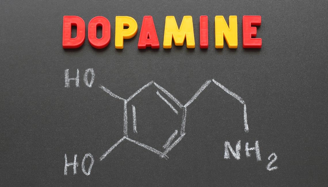 Feel Good in Dopamine Land: An Interactive Museum