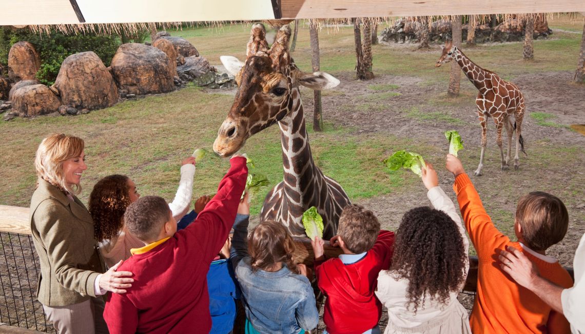 Leesburg Animal Park: A Family Adventure Awaits