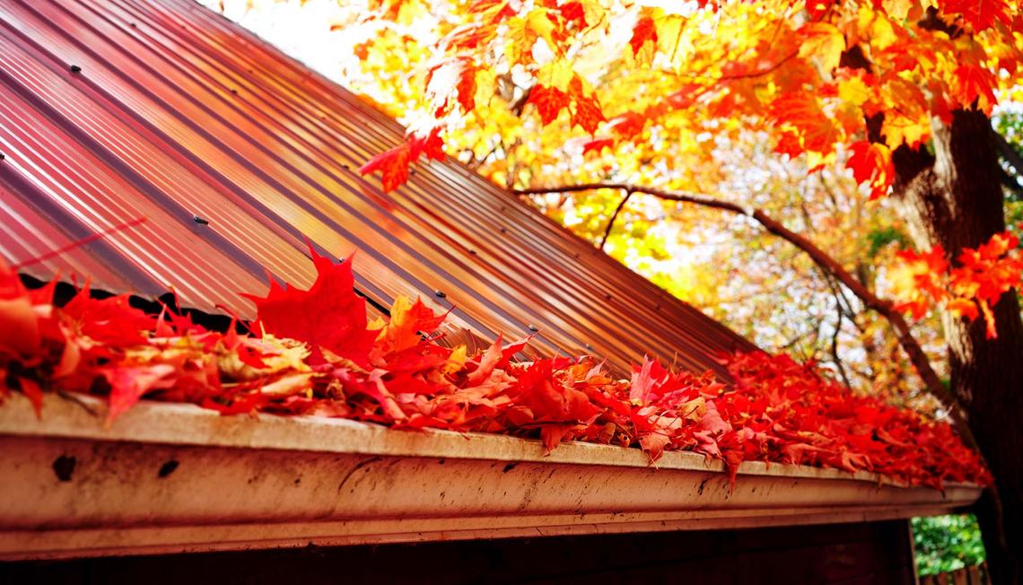 Fall Home Maintenance