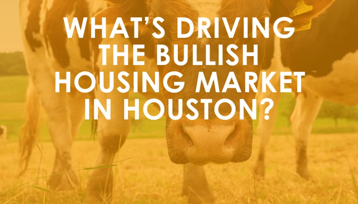 What’s Driving the Bullish Housing Market in Houston?