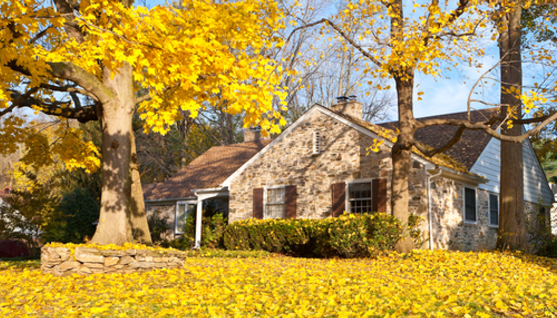 What to Know about Fall Leaves and Your Home