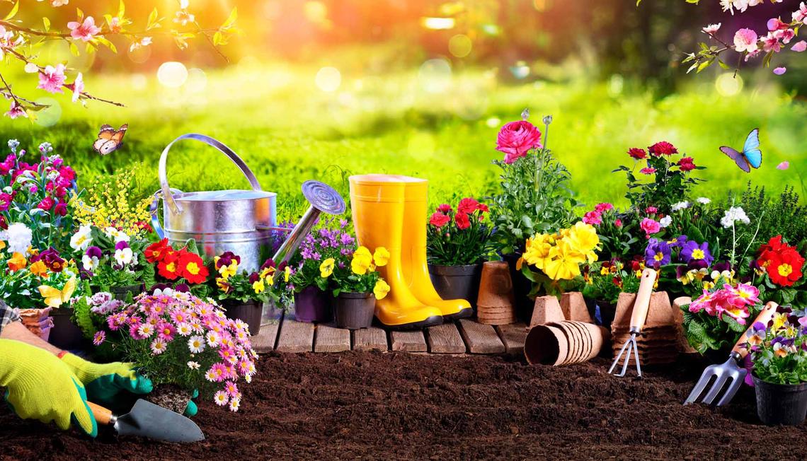 Planning Your Spring Garden