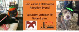 Join Us for Our Halloween Pet Adoption Event