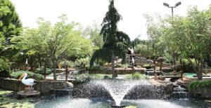 Summer Bliss in Arlington: Splash into Adventure!