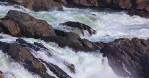 Unleash Your Inner Explorer: A Day Trip to Great Falls National Park