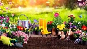 Planning Your Spring Garden