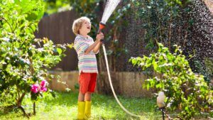 Save Water In Your Garden