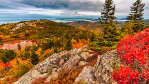 Relish the Vibrant Colors of Fall: Northern Virginia’s Peak Foliage Schedule for 2023