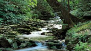 Exploring Sky Meadows State Park: A Virginia Landmark