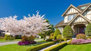 Blooming Opportunities: Preparing Your Corona House for a Spring Listing