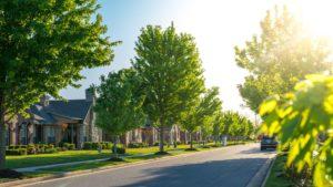 Don’t Believe These Myths About the Suburbs