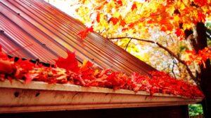 Fall Home Maintenance