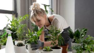 Start an Indoor Garden This Fall