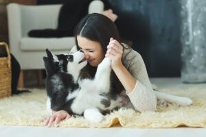 Make Your Home Pet Friendly