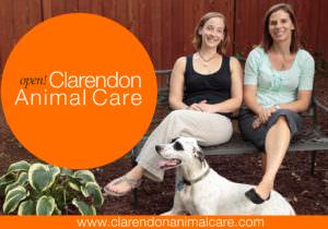 New Vet Clinic For Pet-Loving Clarendon Community