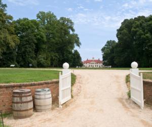 Your Complete Guide to the 2023 Mount Vernon Wine Festival: Wine, History, and Scenic Views Await