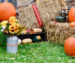 Explore the Best of Loudoun County at the 30th Annual Fall Farm Tour