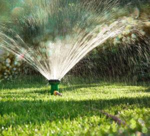 How to Water Your Lawn