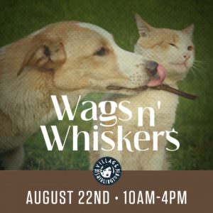 Wags N’ Whiskers Event Returns to The Village at Shirlington