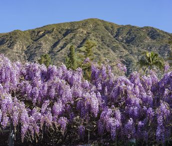 Sierra Madre