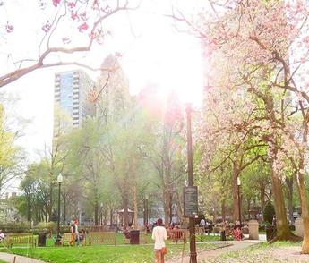 Rittenhouse Square