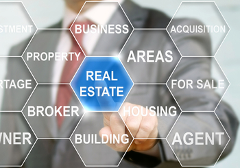 What Do Real Estate Agents Do?