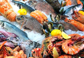 Obtenga una captura fresca en el mercado y la flota pesquera Dory