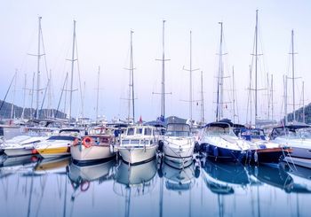 Exploring the Balboa Yacht Club