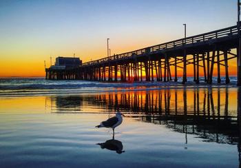 Profiter des loisirs et de la beauté à Newport Pier