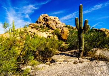 Neighborhood Spotlight: Carefree, AZ