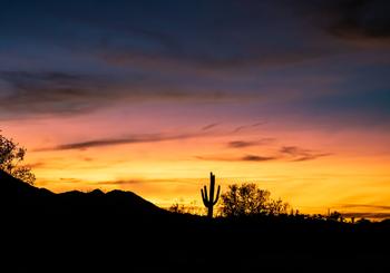 Neighborhood Spotlight: Queen Creek, AZ