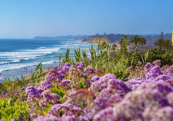 Quartiere in primo piano: Del Mar, CA