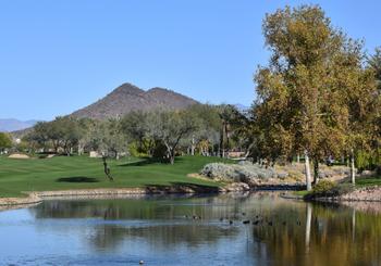 Scheinwerferlicht der Nachbarschaft: Peoria, AZ