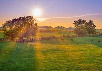 What To Ask Yourself When Buying a Ranch