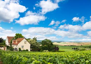 Top Tips For Selling Your Farm