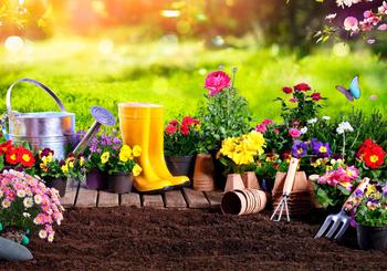 Planning Your Spring Garden