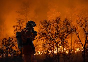 Protecting Your Home From Wildfires