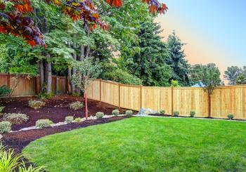 Budget Backyard Privacy Ideas