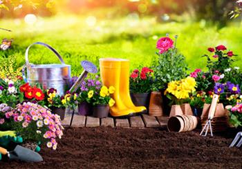 Planning Your Spring Garden