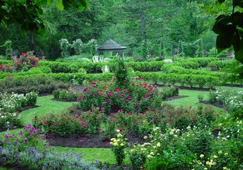 Morris Arboretum In Philadelphia Ranks As One Of The 5 Best U.S. Gardens To Visit This Fall