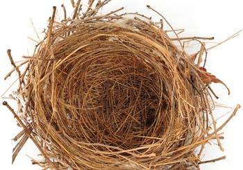 New Empty Nesters – Now What?