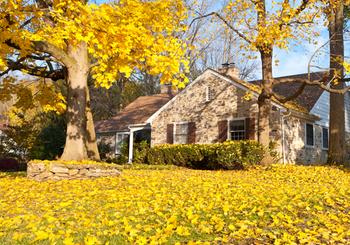 What to Know about Fall Leaves and Your Home