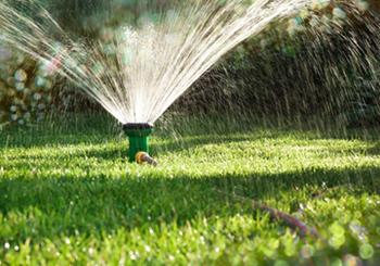 How to Water Your Lawn