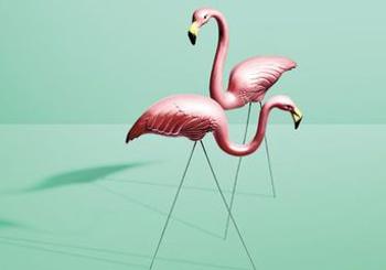 Who Has Been Flocking Carlsbad with Pink Flamingos?