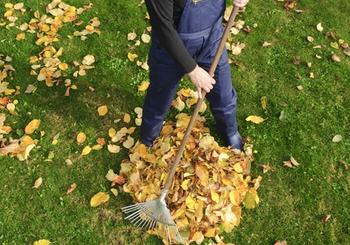 Fall Home Maintenance Checklist