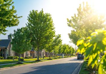 Don’t Believe These Myths About the Suburbs